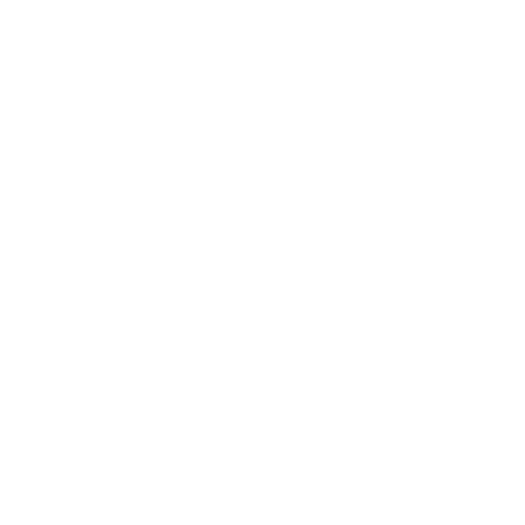 Icon-cycling